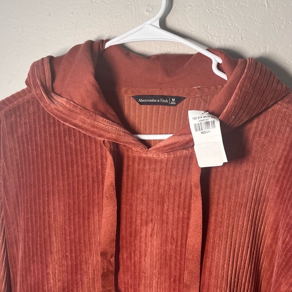 Abercrombie & Fitch Velvet Hoodie Size M - Picture 4 of 5